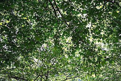 太空探索生存建造游戏《天文科学》即将在12月10日推出抢先体验版